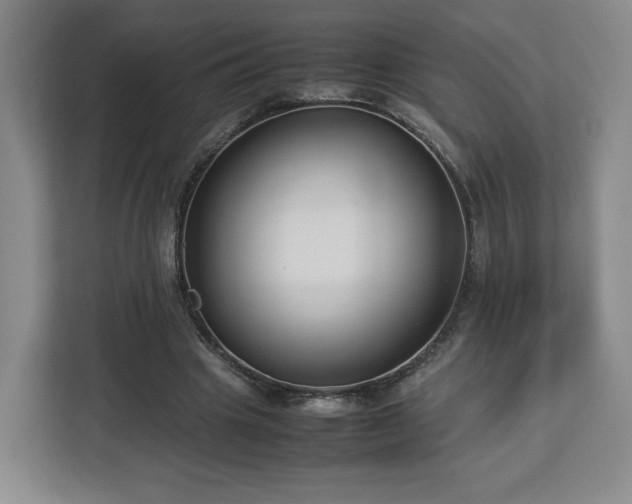 X0000112730441200908271431