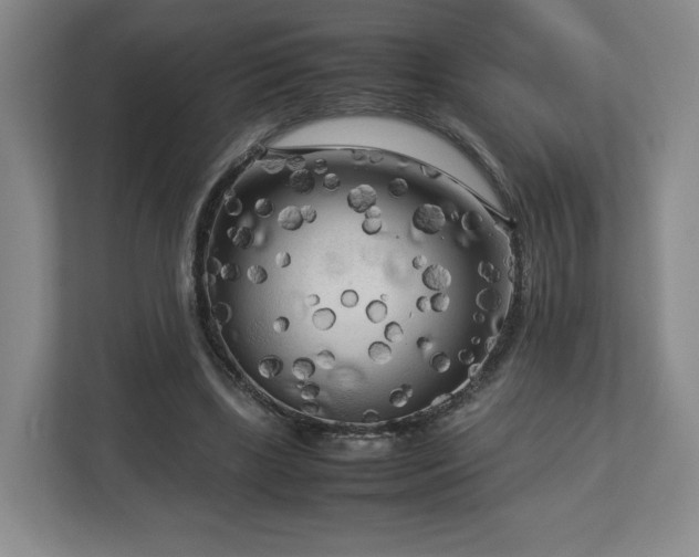 X0000112730443200908271431