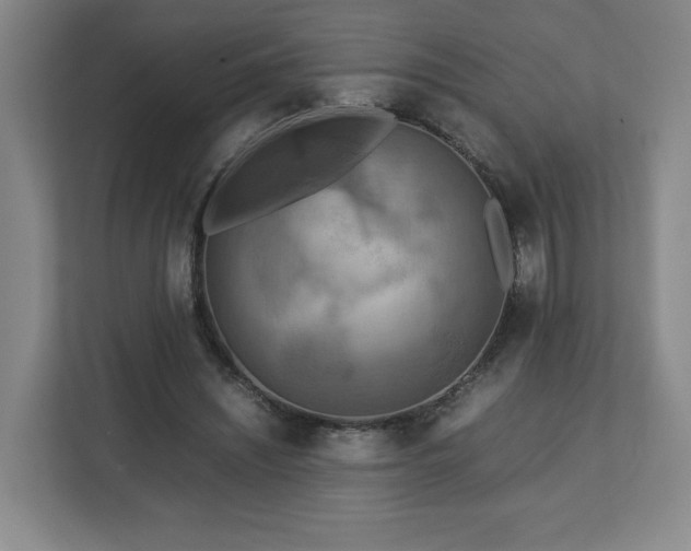 X0000112730444200908271431