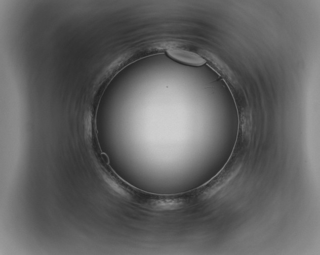 X0000112730445200908271431