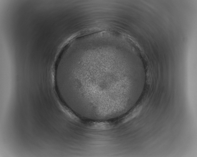 X0000112730446200908271431