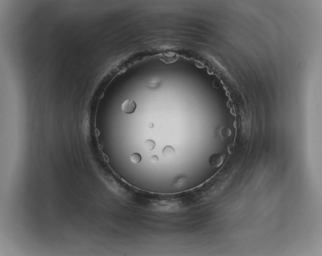 X0000112730447200908271431