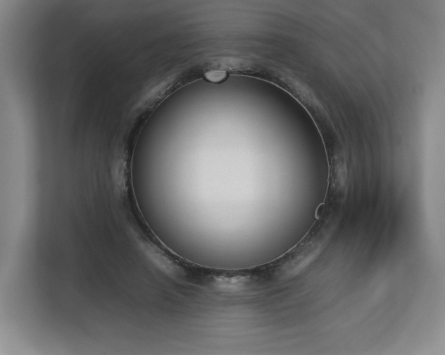 X0000112730450200908271431