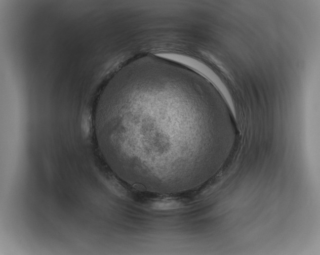 X0000112730451200908271431