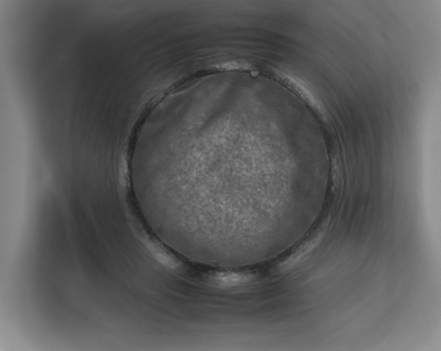 X0000112730453200908271431