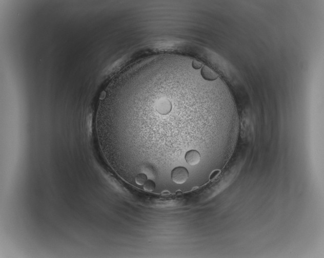 X0000112730454200908271431