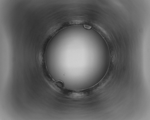 X0000112730455200908271431