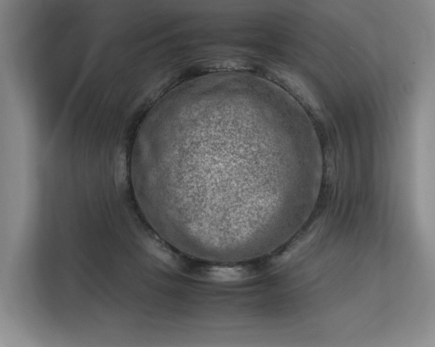 X0000112730457200908271432