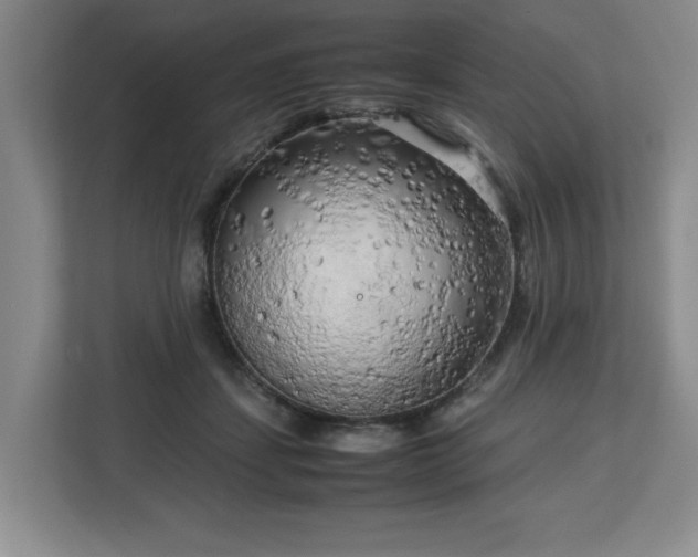 X0000112730459200908271432