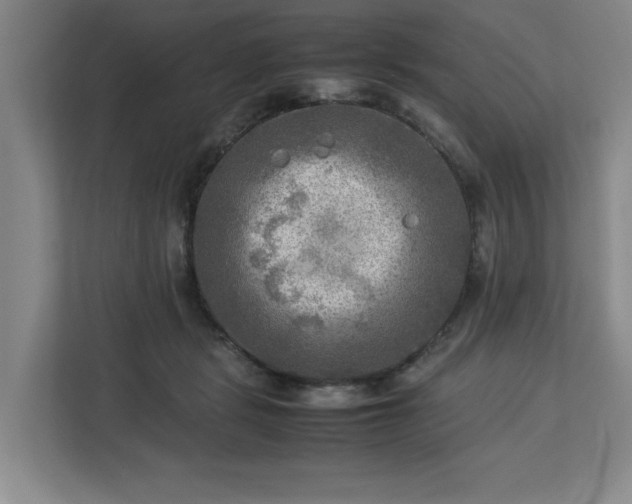 X0000112730461200908271432