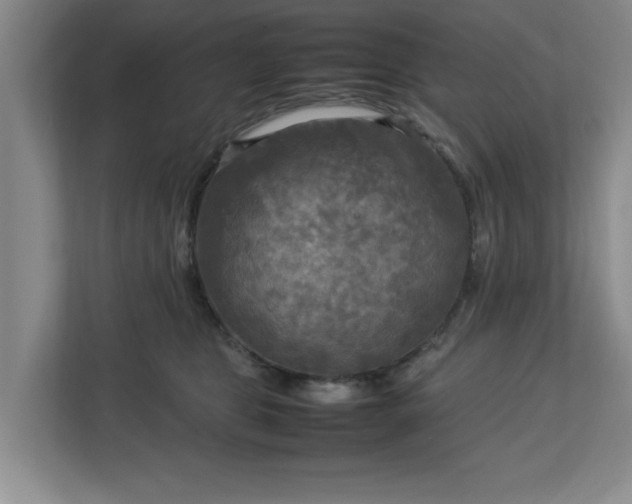 X0000112730469200908271432