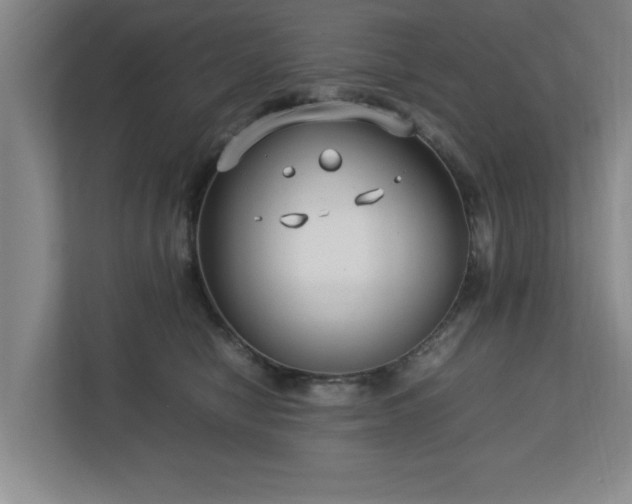 X0000112730470200908271432