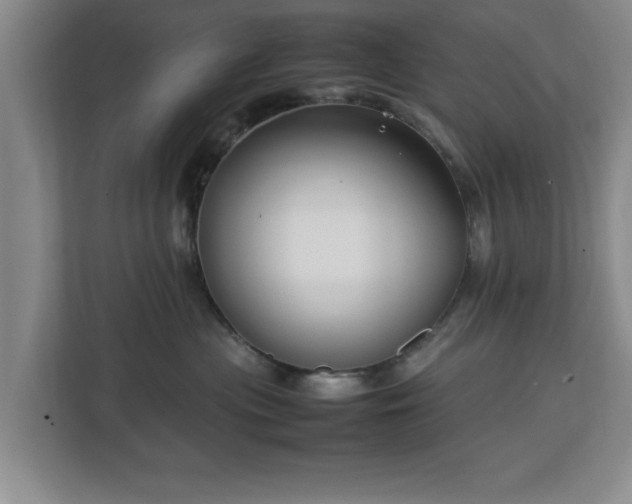 X0000112730477200908271432