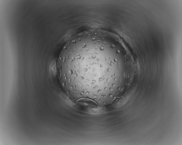 X0000112730479200908271432