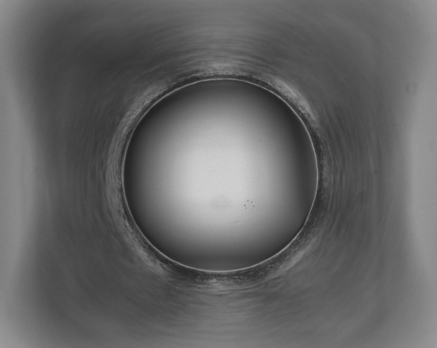 X0000112730481200908271431