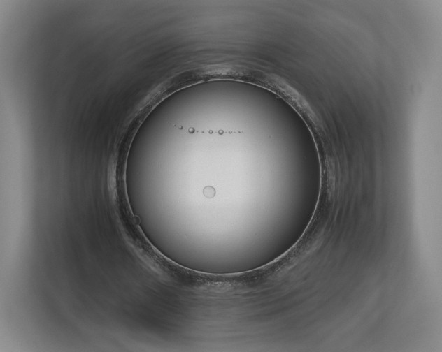 X0000112730482200908271431