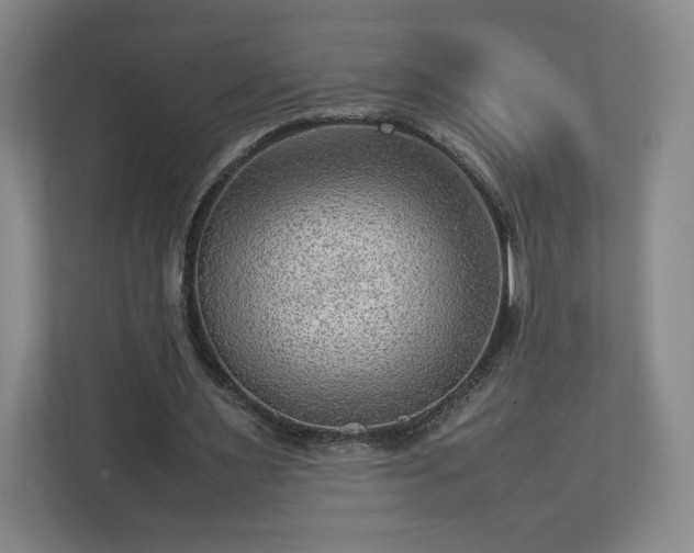 X0000112730483200908271431