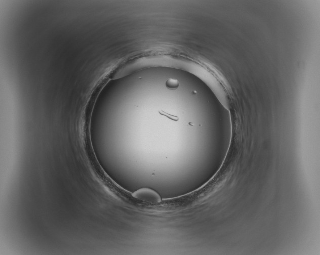 X0000112730485200908271431