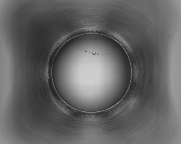 X0000112730486200908271431