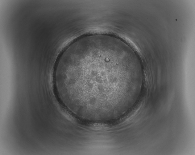 X0000112730487200908271431