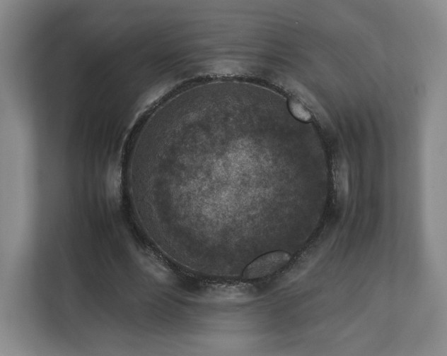 X0000112730488200908271431