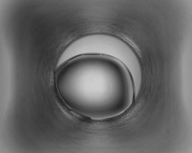 X0000112730489200908271431