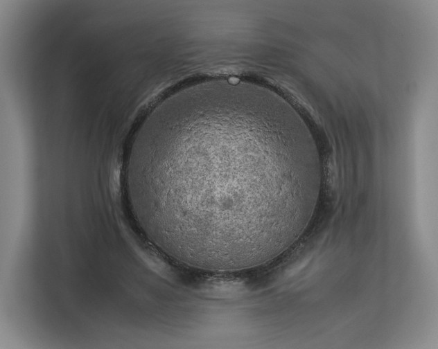 X0000112730491200908271431