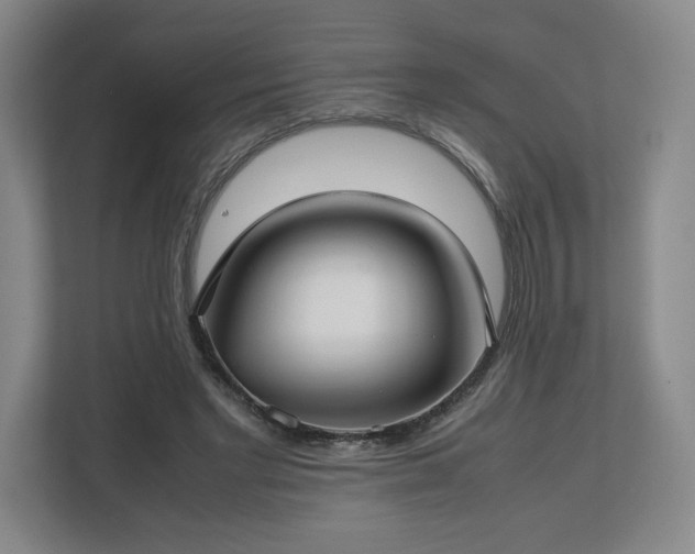 X0000112730493200908271431