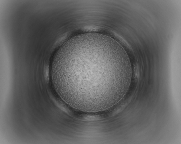 X0000112730494200908271431