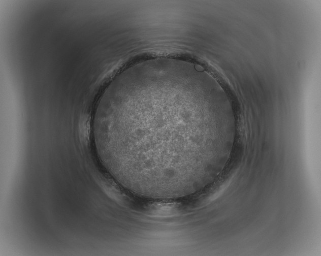 X0000112730495200908271431