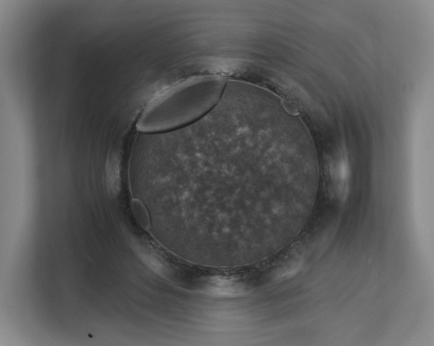 X0000112730496200908271431