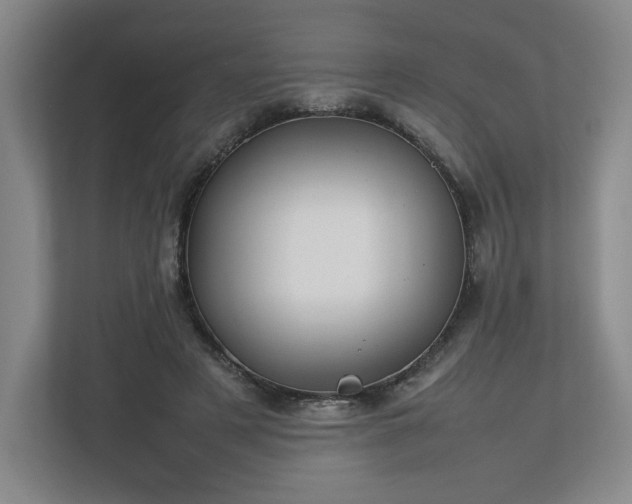 X0000112730497200908271431