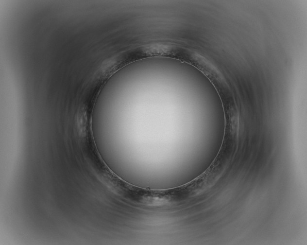 X0000112730498200908271431