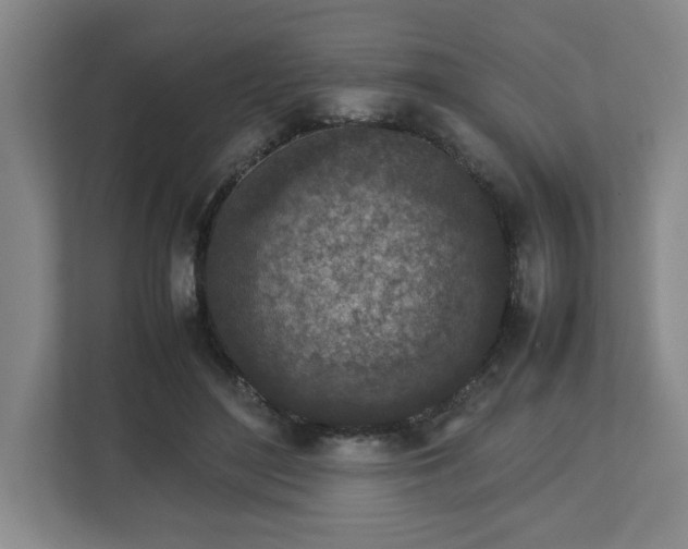 X0000112730500200908271431