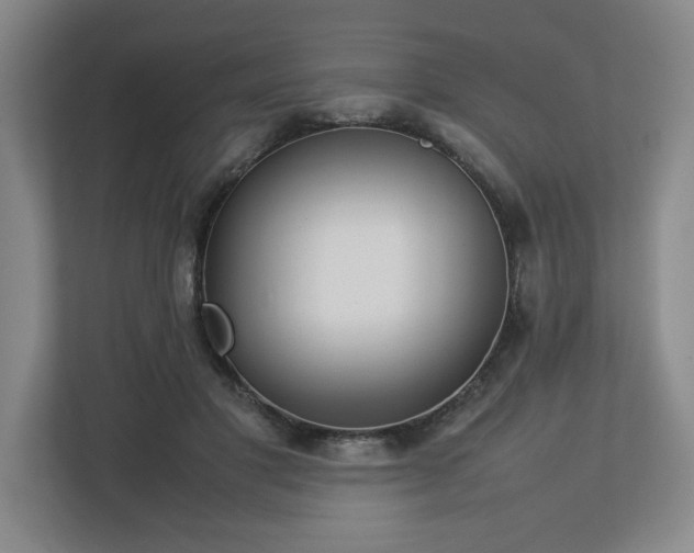 X0000112730501200908271431