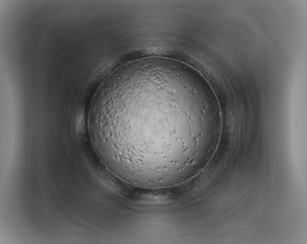 X0000112730502200908271431