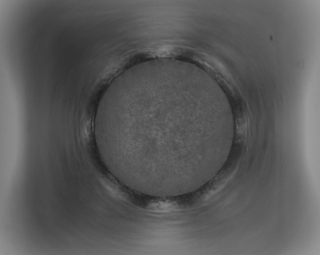 X0000112730503200908271431