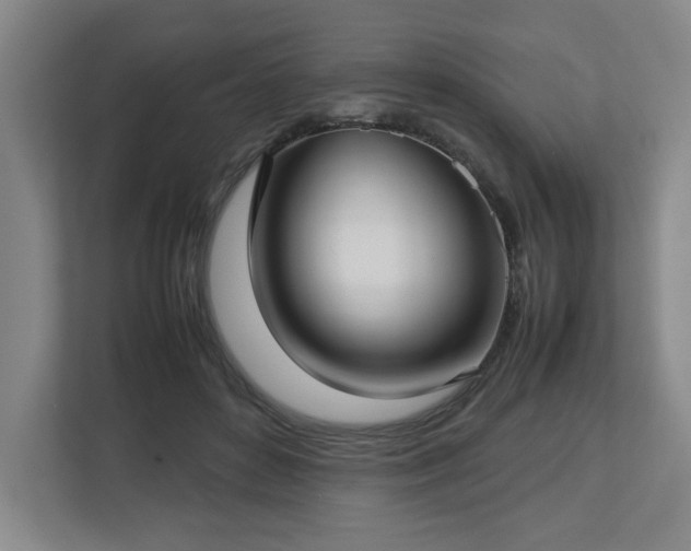 X0000112730504200908271431