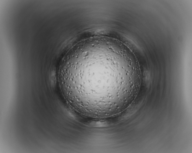 X0000112730506200908271431