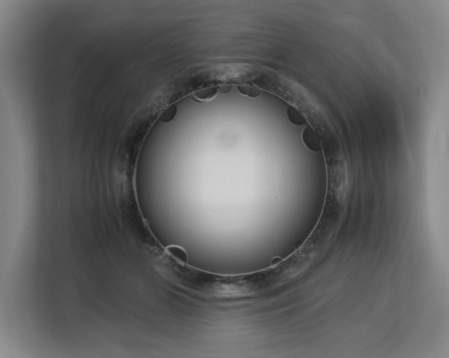 X0000112730510200908271431