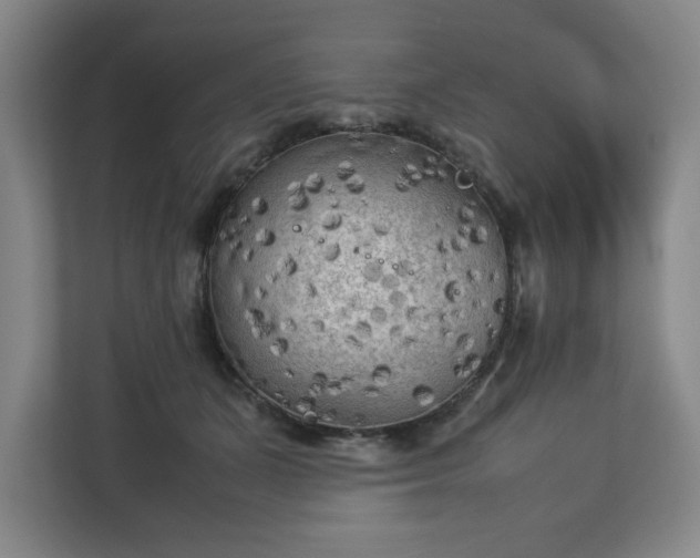 X0000112730511200908271431