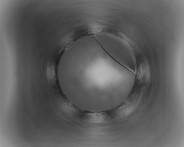 X0000112730524200908271431