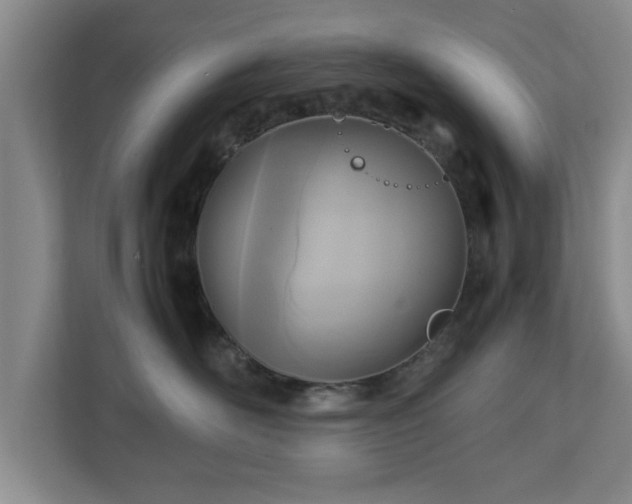 X0000112730526200908271431