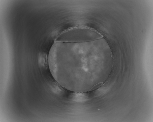 X0000112730528200908271431