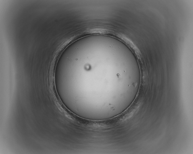 X0000112730529200908271430