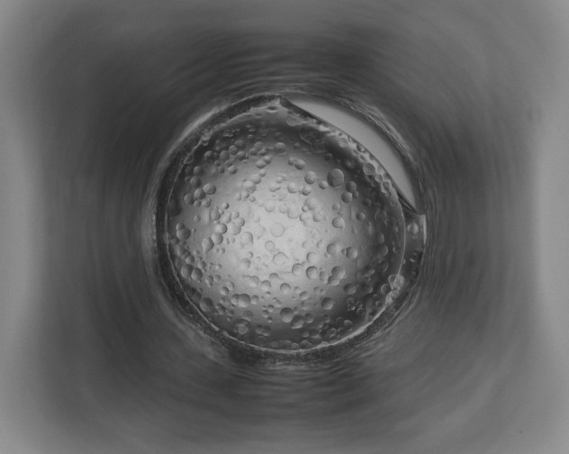 X0000112730531200908271430