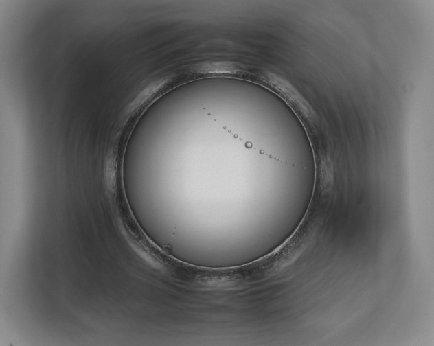 X0000112730533200908271430