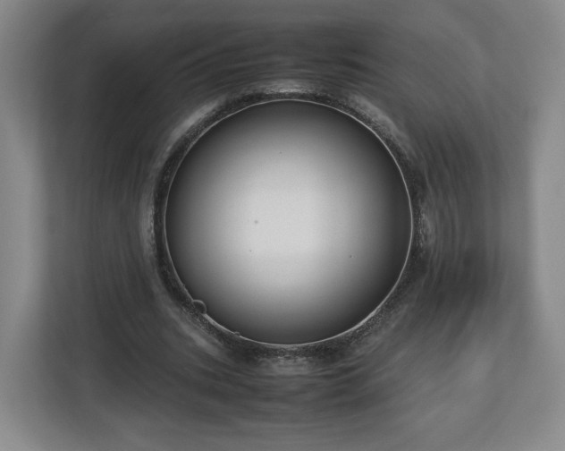 X0000112730535200908271430