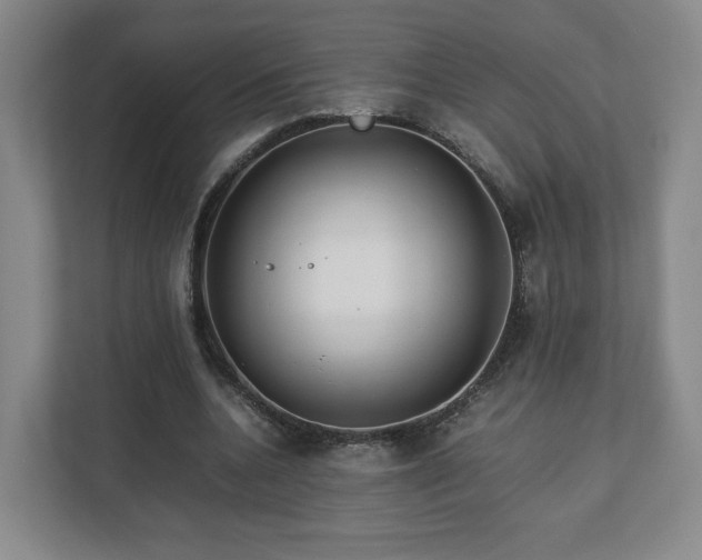 X0000112730536200908271430