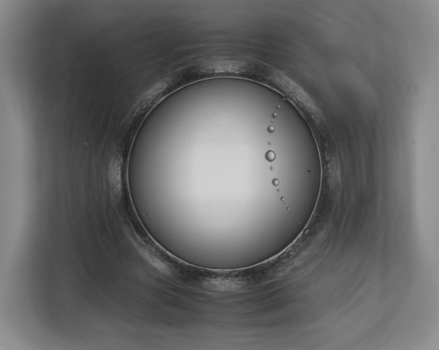 X0000112730537200908271430